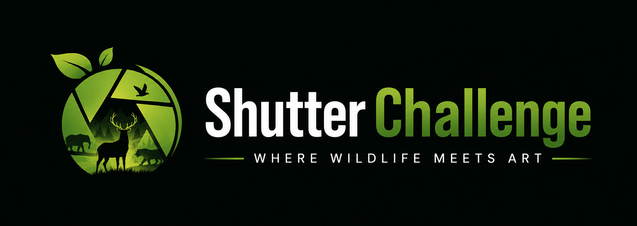 ShutterChallenge